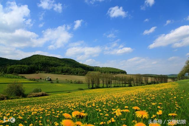 11��28���д�ϲ�󸣣��к���д󽱣���������һ����Ϳ��3����Ф