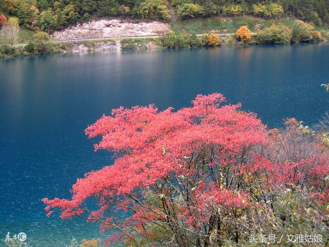 11��28���д�ϲ�󸣣��к���д󽱣���������һ����Ϳ��3����Ф