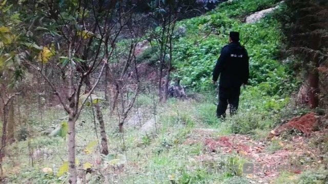 5 ����ͯ��ɽ�ֿ���һҹ����Ȯ׷�ٵ���ʱ��ɪɪ��������δ������