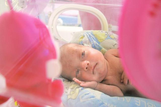 28�������˳����Ժ   �̵�������ļ����и�