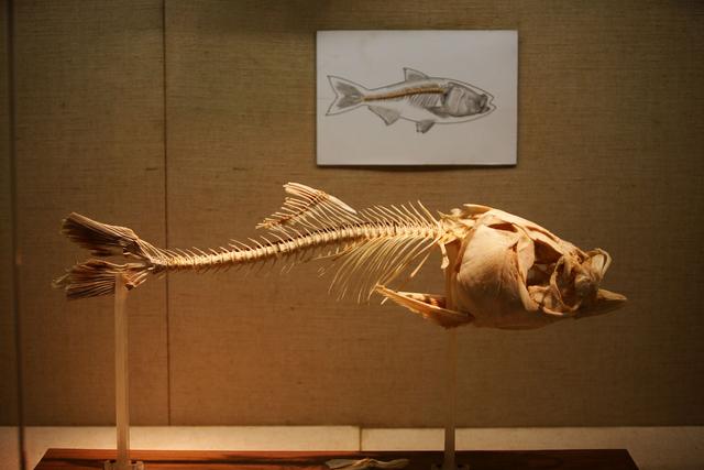 28������������һ����̣�����7�죡ҽ������ȷ��������ܾ�����