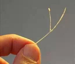 28������������һ����̣�����7�죡ҽ������ȷ��������ܾ�����