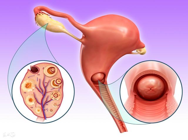 48������������̥����ϱǿ�����£��̷������裬���������缺��