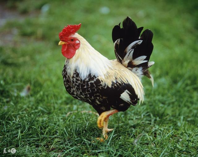 ��������������28������ϲ�ڼ��ſڣ���ӭ�ӣ�������Ҫ��ʮ��