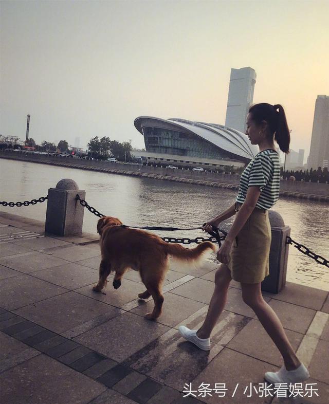 10��ѧϰ�赸��20�걻����ı���У�28��ɻ���ӣ�������ҵ����