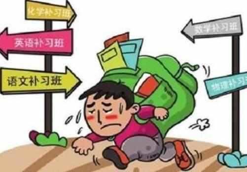 ����ĸ������5��̥������Ӥ���Ա𣬼����ֿ���