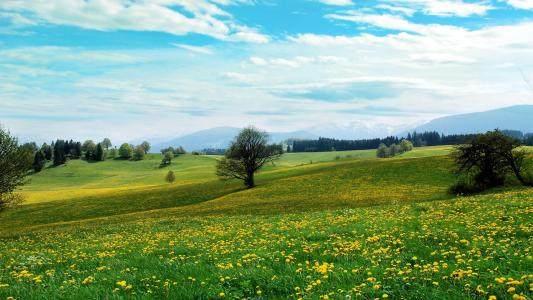 1��28,29,30����������ǩ�����˹��������󽱺�ƽ���������Ф