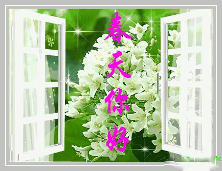 ? ����������һ�ݴ������͸���ǣ�ҵ��ˣ���򿪿���~