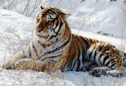 1974�꡸�����ѡ���2.8���д�ϲ����ͷ�������Ӳ�������