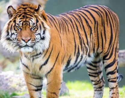 1974�꡸�����ѡ���2.8���д�ϲ����ͷ�������Ӳ�������