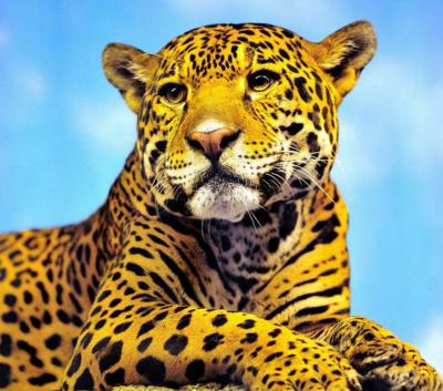 1974�꡸�����ѡ���2.8���д�ϲ����ͷ�������Ӳ�������