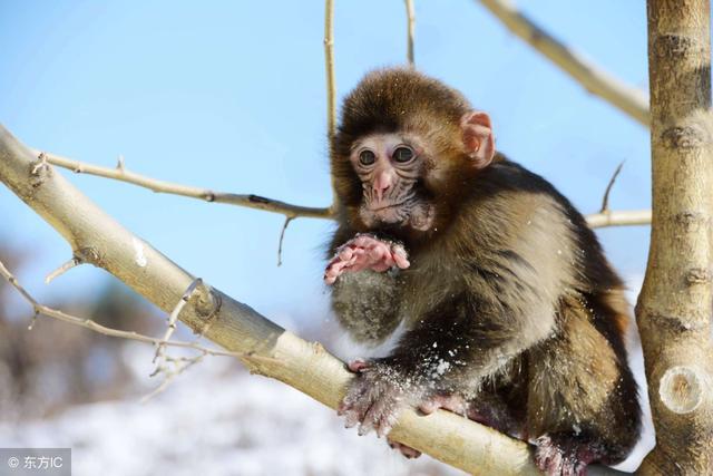 �����ѣ���2.8�ţ���齡����¡���ʮ�����һ�أ�