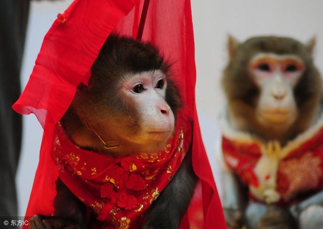 �����ѣ���2.8�ţ���齡����¡���ʮ�����һ�أ�