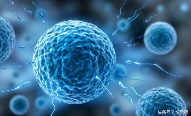 ��ϲ�����걦���ֶ���һ����1��28�Ż��е�����