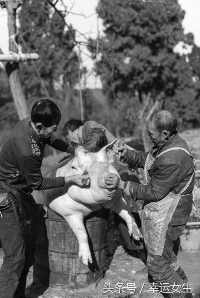 ��������ȥ��Сʱ�����ζ