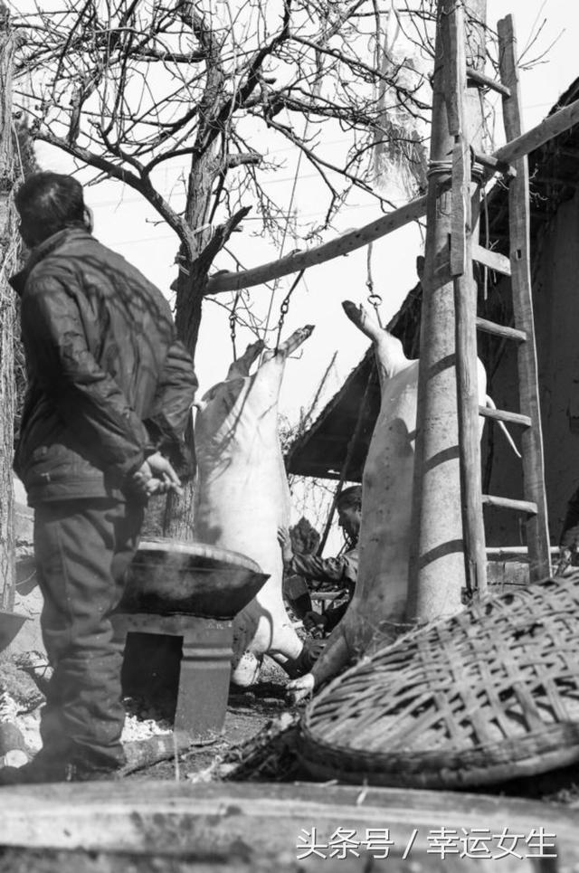 ��������ȥ��Сʱ�����ζ