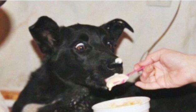 ���˹�����ײż��·����ȣ��˺ú�ͽ�����ٹ���ֻΪ��Ů����һ��