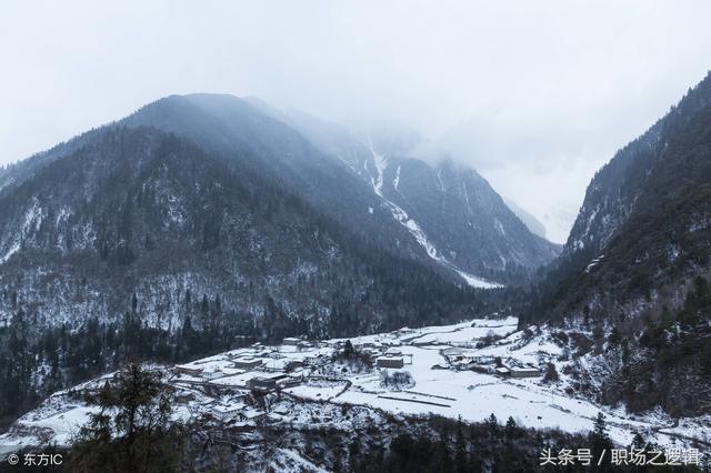 ר�Ʊ�ҵ5���, �ҲŻ�ĺ͵����ı�����һ����