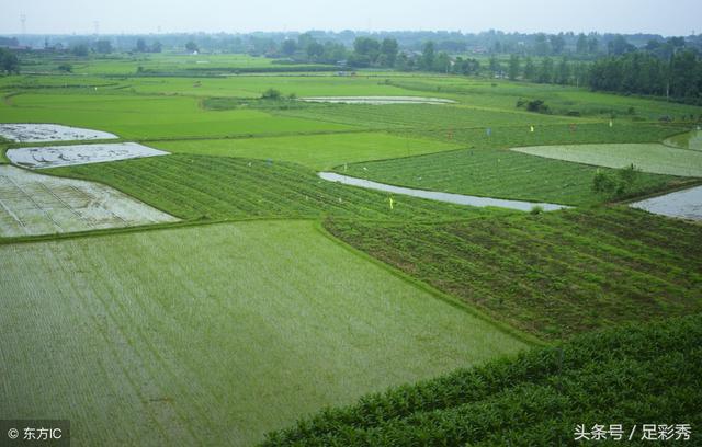 ����͸029��Ԥ�⣺�������ʱ�䣬5+2Ҳ��Բ��ǧ��