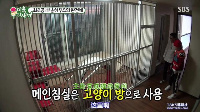 ����Rapper�����Dok2���������������ļ�